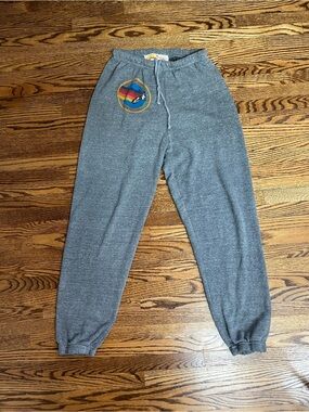 Aviator Nation Gray Sweatpants with Rainbow Crest